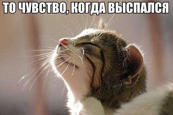 3676705_111 (604x402, 80Kb)