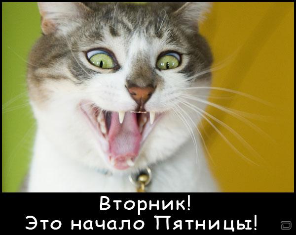 3676705_1296524760_0001 (600x475, 35Kb)