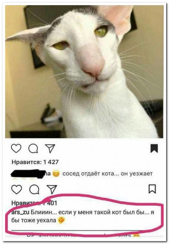 ������ ���������� ����������� �� ���������� �����