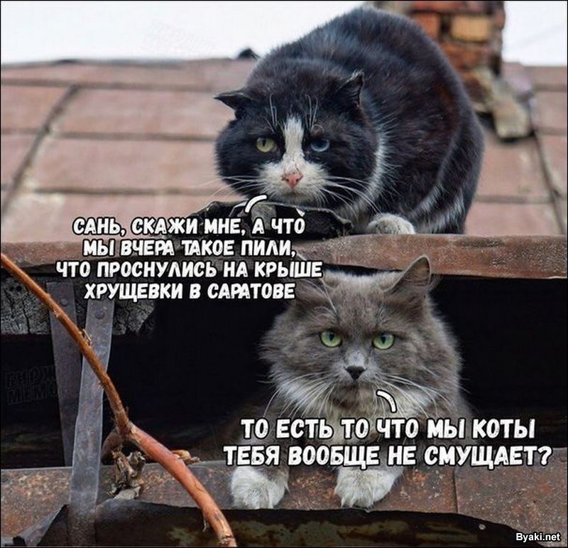 �������� ���������� � ���������� ��������